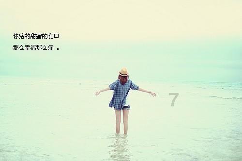 了解是侧脸还是正脸好看?平台,探索知识星球的奇妙之旅